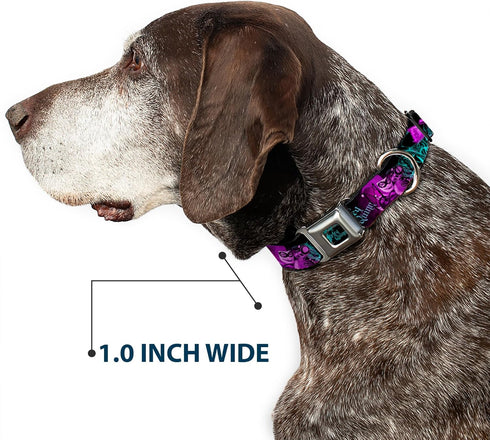 Dog Collar Seatbelt Buckle Harley Quinn Pow Aiming Poses Joker Black Turquoise Fuchsia 15 to 26 Inches
