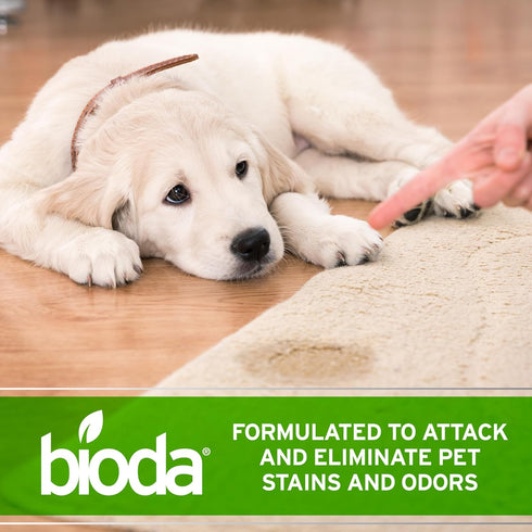 1 Bioda Pet Stain and Odor Eliminator | Pet Urine Enzyme Cleaner | Stain Remover | Urine Odor Eliminator | Carpet
