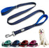 Black Rhino Heavy Duty Dog Leash for Medium and Large Dogs, 5 ft Long Double Handle with Padded Traffic Control