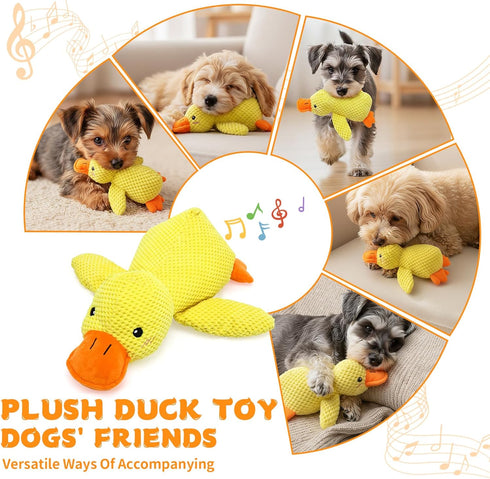 2026 9.8"x8.6"(S) Calming Duck Toy for Dogs, New Interactive Crinkle Toy with Quack Sound for Dogs Teeth, Soft Stuffed