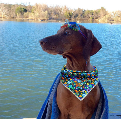 Elegant little tail Dog Bandana- Blue Spring Soft Puppy Bandana Cute Pet Scarf Handkerchief Boy Pet Bibs Scarf