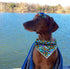 Elegant little tail Dog Bandana- Blue Spring Soft Puppy Bandana Cute Pet Scarf Handkerchief Boy Pet Bibs Scarf