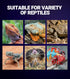 2Pack 100W Bulb E26/E27 REPTI ZOO Reptile Heat Lamp Reptile Night Heat Night Heat Lamp Without UVA for Turtle Bearded