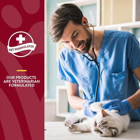 NaturVet Cranberry Relief Plus Echinacea for Cats - 60 ct Soft Chews, Made in The USA