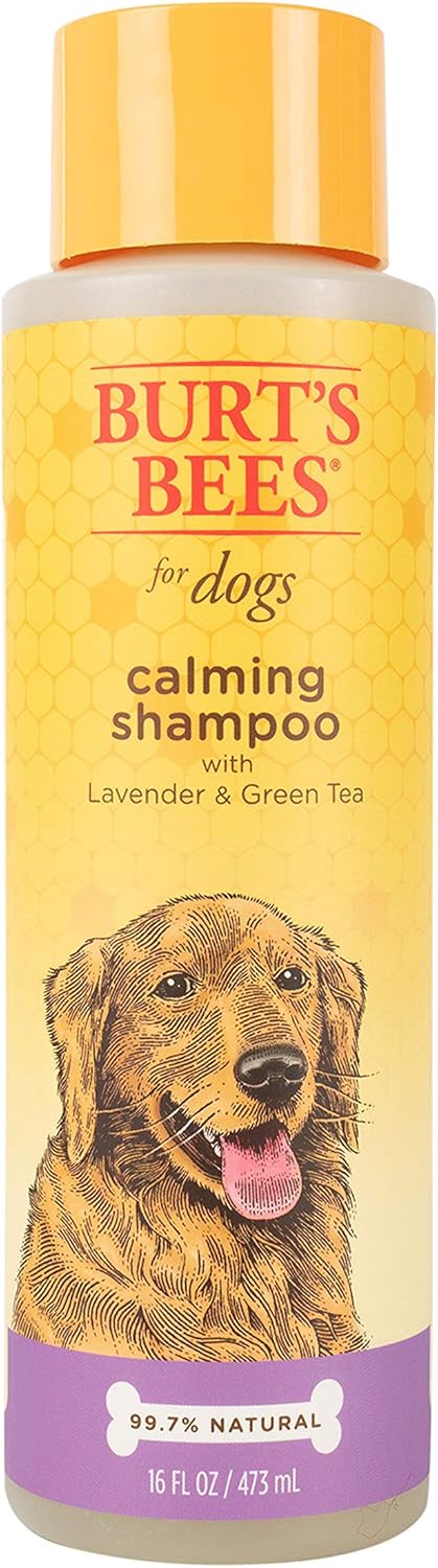 Burt's Bees for Pets Care Plus+ Naturally Derived Hydrating Waterless Shampoo Spray with Coconut Oil - Best Dry Shampoo for Dogs - Cruelty Free, Made in USA, 12 Oz