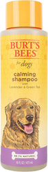 Burt's Bees for Pets Care Plus+ Naturally Derived Hydrating Waterless Shampoo Spray with Coconut Oil - Best Dry Shampoo for Dogs - Cruelty Free, Made in USA, 12 Oz