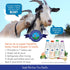 Freeze Dried Raw Goat Milk with Probiotics for Dogs & Cats, Organic USA Veggies & Fruits, High Protein Food Toppers