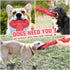 Interactive Long Lasting Dog Tug-of-war Toy, 15 Inch Natural Rubber for Medium Large Breed Dogs