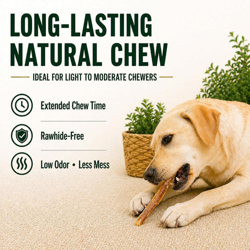 100% 4oz Beef Tendon Sticks Dog Chews Single Ingredient, Long-Lasting Natural Chew for Light & Moderate Chewers