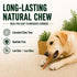 100% 4oz Beef Tendon Sticks Dog Chews Single Ingredient, Long-Lasting Natural Chew for Light & Moderate Chewers