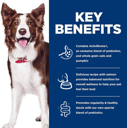 1-6 3.5 lb. Hill's Science Diet Adult Perfect Digestion Dry Dog Food, Salmon, Whole Oats, & Brown Rice, Bag