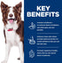 1-6 3.5 lb. Hill's Science Diet Adult Perfect Digestion Dry Dog Food, Salmon, Whole Oats, & Brown Rice, Bag