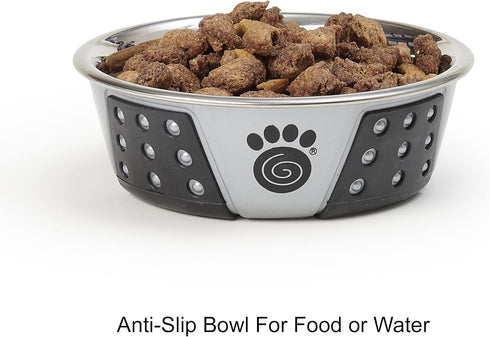 PetRageous 13097 Fiji Stainless Steel Non-Slip Dog Bowl 1.75-Cup Capacity, 5.5-inch Diameter, Light Grey and Black
