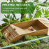 Hermit Crab Water Tank with Climbing Ramp, Large Reptile Climbing Toy, Tortoise Habitat Accessories for Small Medium