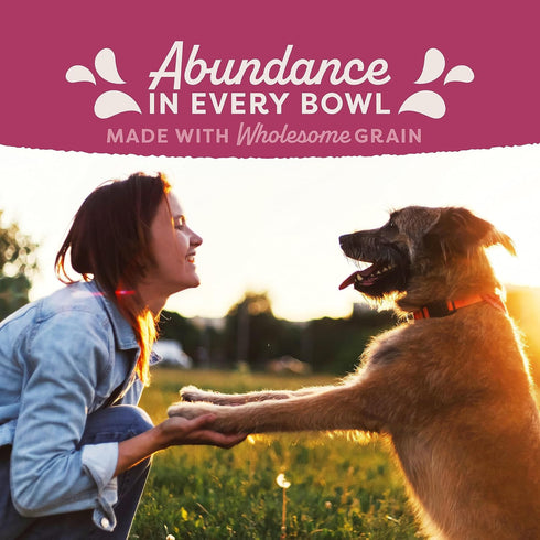 Natural Balance Original Ultra Fat Dogs, Chicken Meal, Salmon Meal & Barley Recipe, Low Calorie Dry Dog Food, 11 Pounds