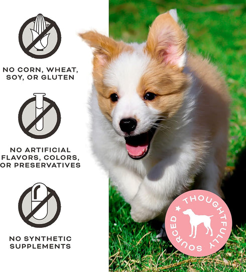 Primal Freeze Dried Dog Treats, Chicken & Banana with Goat Milk, Grain Free, 2 oz