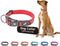 Dog Collar for Medium Dogs (3/4" Width, 17"-21.5" Length), Reflective Adjustable Neck Band (Red)