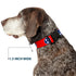 Buckle-Down Plastic Clip Collar, Tennessee Flag Stars Red/White/Blue, 1" Wide, Fits 15-26" Neck