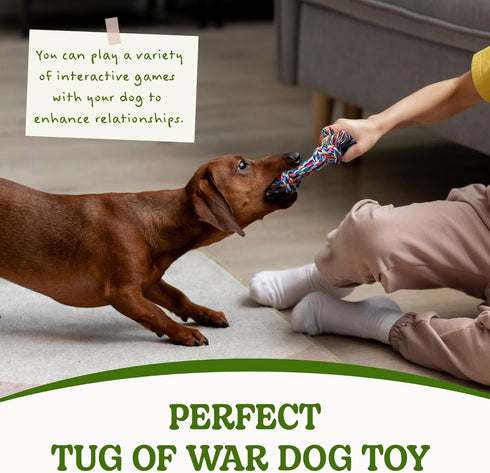 2 Pack Dog Rope Toy for Small Dogs - Durable Cotton Chew Toys for Teething and Tug of War