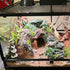 Resin Turtle Basking Platform, Turtles Rock Dock Climbing Ramp Cave Hideout Decor for Small Lizards, Frogs, Snakes,