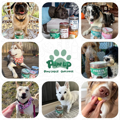 4.2 oz PAWUP Freeze Dried Chicken Necks Dog Treats, Single Ingredient Chicken Neck Chews, High Protein Treats