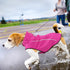 Mile High Life Dog Raincoat, Adjustable Waterproof Reflective Jacket for Small Medium Large Dogs (Hot Pink, M)