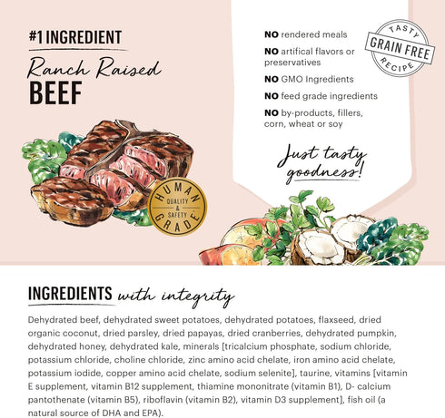 The Honest Kitchen Human Grade Dehydrated Grain Free Dog Food, Beef 2 lb (makes 8 lbs)