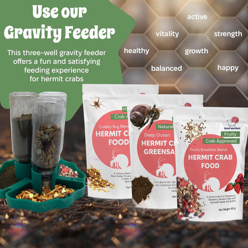 Snout and Shell Hermit Crab Food Bundle Fruity Breakfast Blend, Crabby Bug Blend & Greensand Organic, High Protein