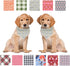 ARING PET Dinosaur Dog Bandanas - Summer Kerchief Triangle Bibs Scarf for Puppy Small Medium Large Dogs, Size S