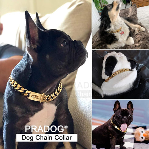 Gold Chain Dog Collar Designer Cuban Link Chain, 19MM Metal Stainless Steel, Safety Design Buckle, Walking Collar