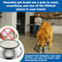 Kinn Kleanbowl Pet Bowl, Stainless Steel Frame with Compostable Refills, 24 oz (1 Pack)