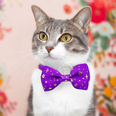 2 Pack Cat Collar with Bow Tie and Bell, Breakaway Starshine Collar for Male Female Cats (Black+Purple)