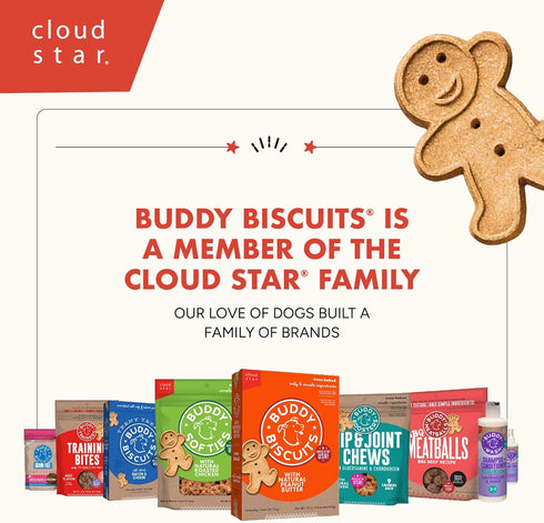 Buddy Biscuits 14 oz. Box of Grain-Free Crunchy Dog Treats with Natural Peanut Butter