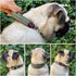 Heavy Duty Dog Collar with Handle | Ballistic Nylon, Padded Reflective Collar with Adjustable Hardware