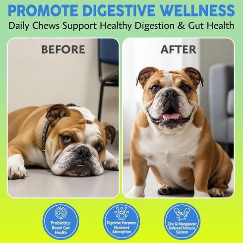 Upset 120 Asher House Wellness Probiotics Digestive Chew for Dogs - Dog Probiotic, Digestive Enzymes for Gut Health