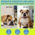 Upset 120 Asher House Wellness Probiotics Digestive Chew for Dogs - Dog Probiotic, Digestive Enzymes for Gut Health