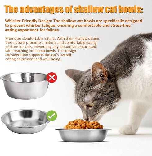 6 Pcs Stainless Steel Cat Bowls, 5.5 Inch Shallow Wide Whisker Friendly Food Dishes