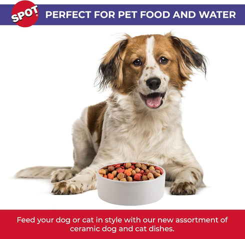 SPOT Ceramic Stoneware Pet Bowl, 7.5in Diameter - Heavy Duty Non-Slip Bowl for Medium and Large Dogs
