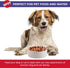 SPOT Ceramic Stoneware Pet Bowl, 7.5in Diameter - Heavy Duty Non-Slip Bowl for Medium and Large Dogs