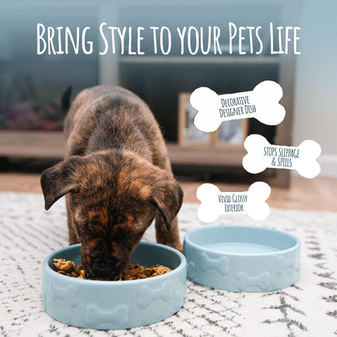 Park Life Designs Large Ceramic Dog Bowl for Food & Water | Durable, Easy-Clean & Dishwasher-Safe, Manor Blue