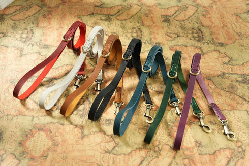 Genuine Leather Dog Leash - Soft Touch Rustic Leather, Vintage Style, Secure Grip for Small Dogs, Training Leash