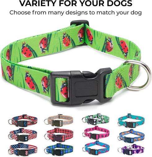 American Flag Dog Collar, 5 Different Sizes, Classic Medium