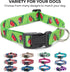 American Flag Dog Collar Classic in 5 Different Sizes (Small)