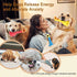 3 7.9 inch Dog Squeaky Toys Pcs Rubber Chicken Dog Toy, Squeaking Fun Chew Toy for Dogs Indoor and Outdoor Interactive