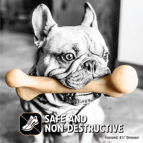 8.5", Pet Qwerks Dinosaur BarkBone - Wood Dog Bone for Moderate Chewers - Peanut Butter Flavor - Small Breeds