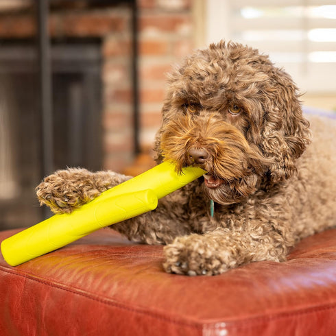 Hyper Pet Fetching Dog Toys, Throwing Stick Made with EVA Foam, Easy to Clean & Floats on Water
