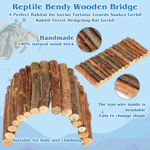 Fiwochic 14 Pcs Hermit Crab Accessories Natural Hermit Crab Toys Coconut Shell Hideout Climbing Bridge Moss Stick