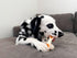 Nylabone Pop-in Dog Treat Toy Refills - All-Natural Dog Treats for Treat Dispensing Toys, Chicken Flavor