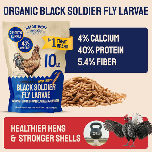 10lb Hatortempt Dried Black Soldier Fly Larvae - More Calcium Than Mealworms for Chickens - High Protein Chicken Feed