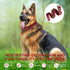 Spiked Leather Dog Collar with Bullet Rivets, Soft Adjustable Collar for Small Medium Large Dogs, Red, L.